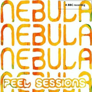 Image for 'Peel Sessions'