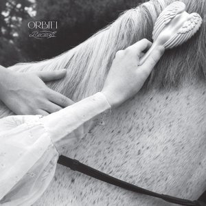 Image for 'Orbit I'