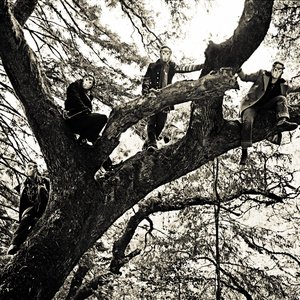 Immagine per 'Queens of the Stone Age'