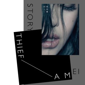 Image for '偷故事的人'