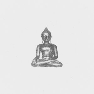 Image for 'Amata'