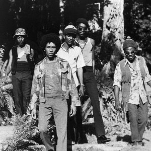 Immagine per 'Bob Marley & The Wailers'