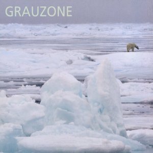 Image for 'Grauzone 1980-1982'