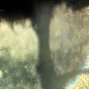 Image for 'Un'