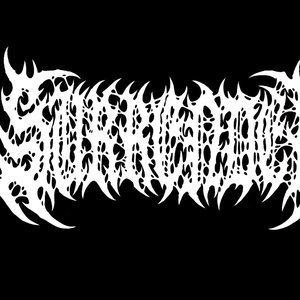 Image for 'Surrender'