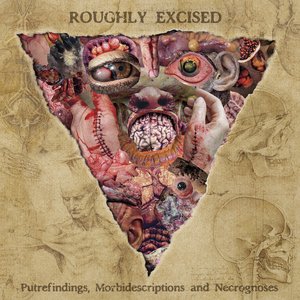 Image for 'Roughly Excised: Putrefindings, Morbidescriptions, and Necrognoses'
