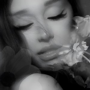 Image for 'petal'
