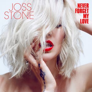 Image pour 'Never Forget My Love'