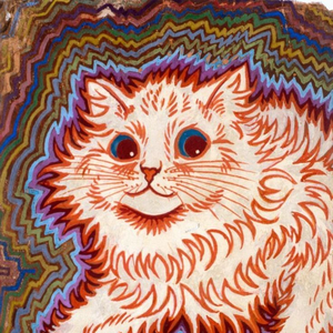 rubbishvibes