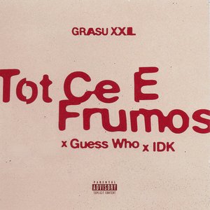 Image for 'Tot Ce E Frumos'