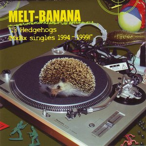 Image for '13 Hedgehogs (MxBx Singles 1994–1999)'