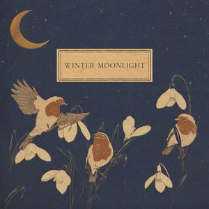 Image for 'Winter Moonlight'