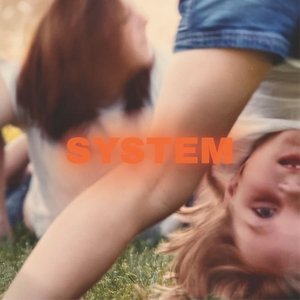 Image for 'System'