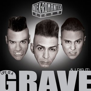 Image for 'Life Is A Grave And I Dig It'