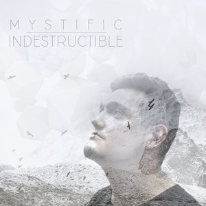 Immagine per 'Indestructible (Tropicaliente)'