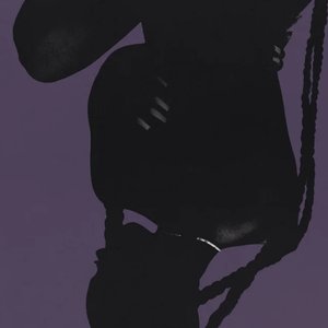 Bild für 'PARTYNEXTDOOR 4 (P4)'