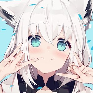 Image pour 'Fubuki Shirakami'