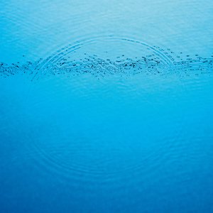 Image for 'Suddenly'