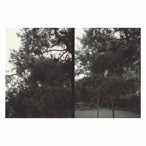 Image for 'just like any other day (어느날) : background music for your mundane activities'
