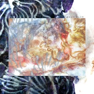 Image for '[XOLO] [ALMA]'