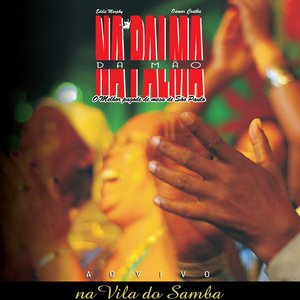 Image for 'Ao Vivo na Vila do Samba'