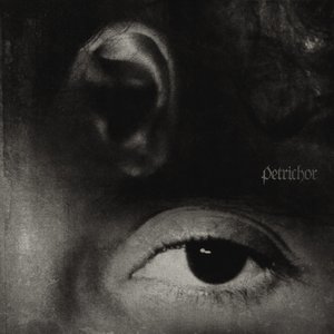Image for 'petrichor'