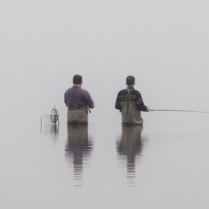 Image for 'Norm'