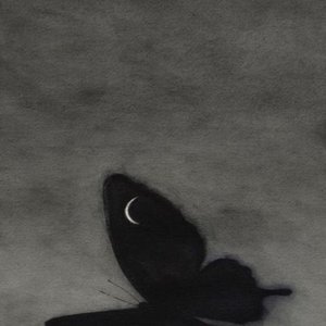 'Lake 98'の画像
