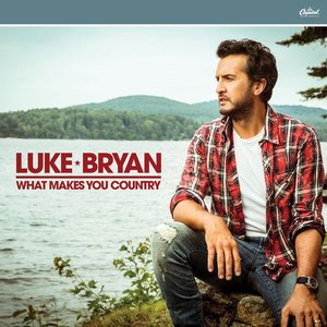 Image for 'What Makes You Country'