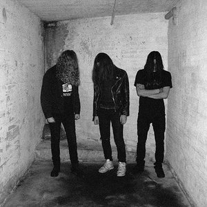 Image for 'Mold'