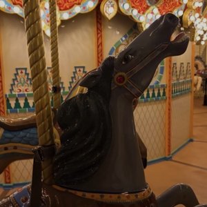 Image for 'carousel'
