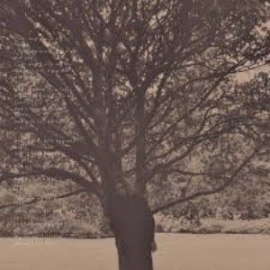 Image for 'A Poison Tree'