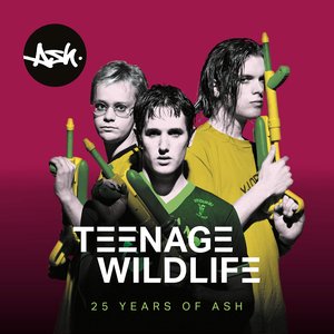 Image for 'Teenage Wildlife - 25 Years of Ash'