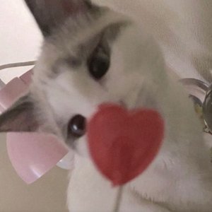 Image for 'be mine?'