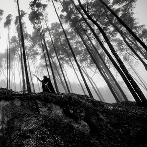 Image for 'Irae'
