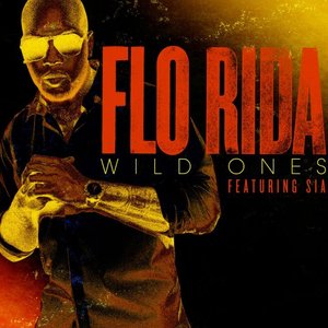 Image for 'Wild Ones (feat. Sia)'