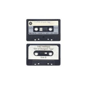 Immagine per 'Grandson of Dungeon Tape'