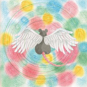 Image for 'Animaru'