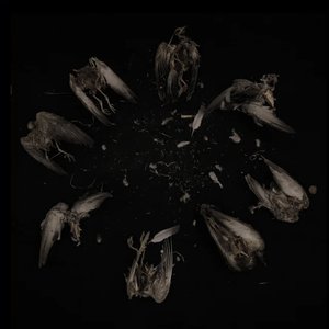 Image for 'Verikyyhky (Original Graphic Novel Soundtrack)'