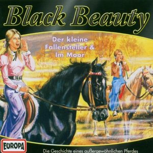 Image for '04/Black Beauty im Moor'