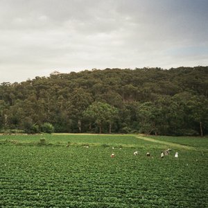Image for 'Healesville'