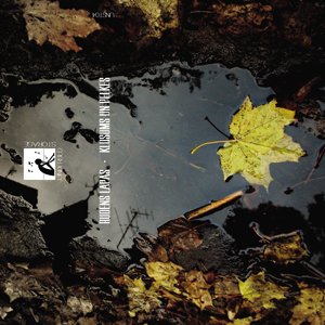 Image for 'Klusums un peļķes'