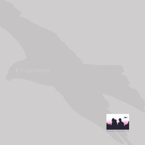 Image for 'Promise'