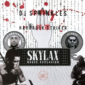 Image for 'Skylax House Explosion'