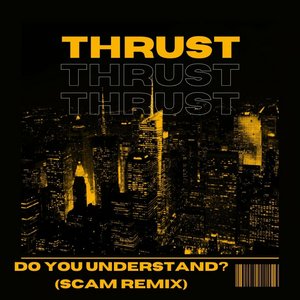 Image for 'Do You Understand? (SCAM Remix)'