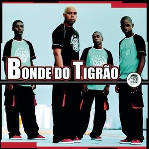 Image for 'Bonde Do Tigrão'