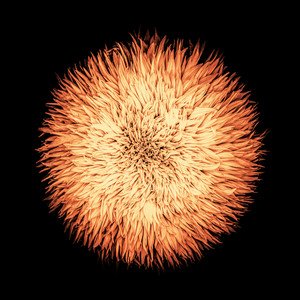 Image for 'Cosmogonia'