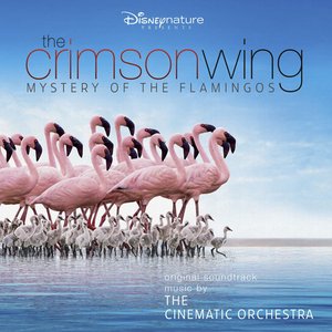 Bild för 'The Crimson Wing: Mystery of the Flamingos (Original Soundtrack)'