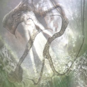 'XPETAL'の画像