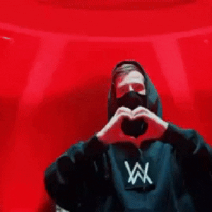 Image pour 'Alan Walker'